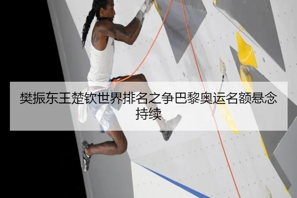 樊振东王楚钦世界排名之争巴黎奥运名额悬念持续